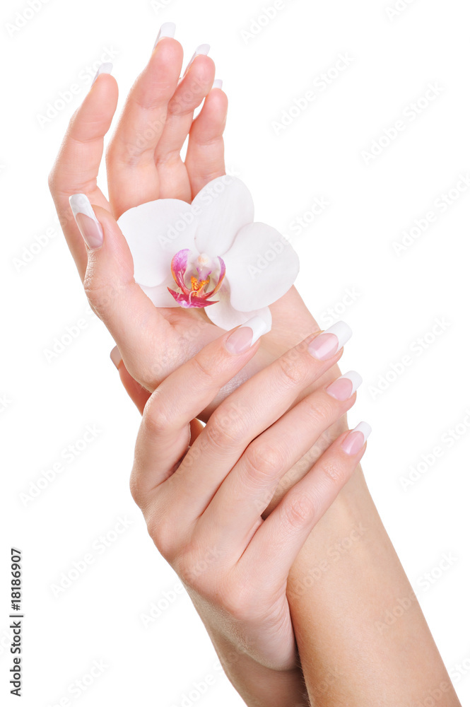 Elegant clean human hand with white flower on palm Elegant clean human hand with white flower on palm