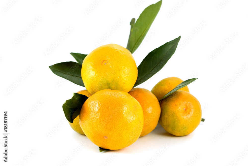 Branch of tangerines isolated on white