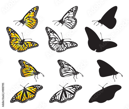 Vector Butterflies