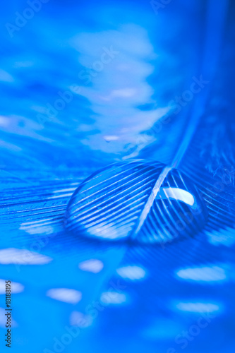 Tropfen auf Feder blau