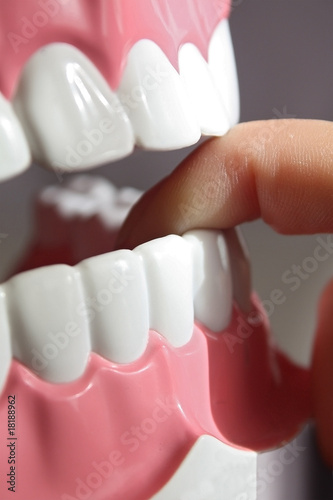 Plastic dental teeth photo