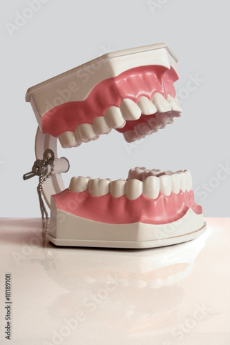 Plastic dental teeth