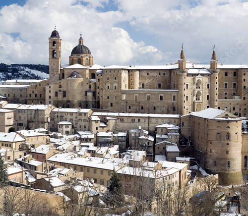 Urbino