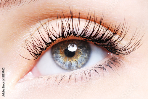 Fotografie, Obraz Woman eye with a curl false eyelashes