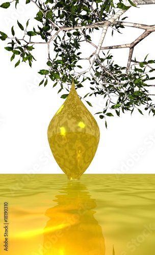goutte d'huile d'argan