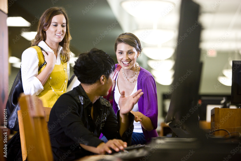 Obraz premium University students conversing by library computer