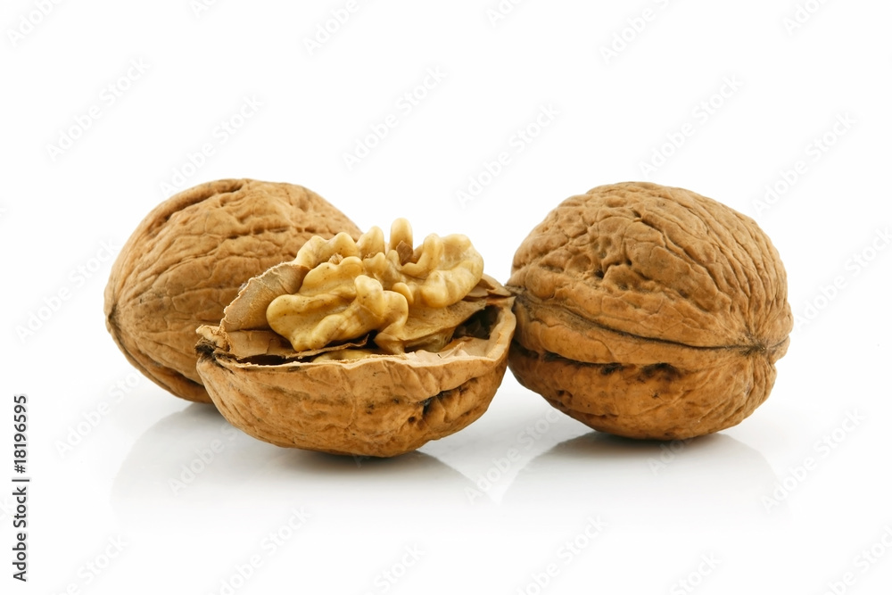 Close-up of a Walnut Fruits Isolated on White Close-up of a Walnut Fruits Isolated on White