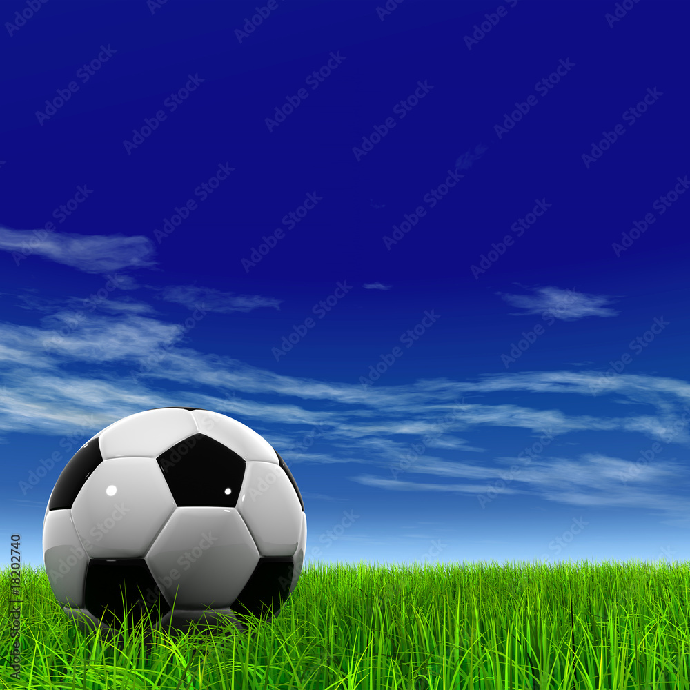 Fototapeta premium 3D black soccer ball,green grass and a blue sky with clouds