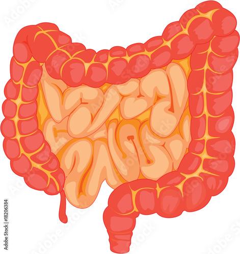 intenstine