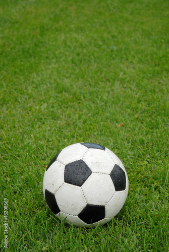 pallone di calcio 3 © puckillustrations