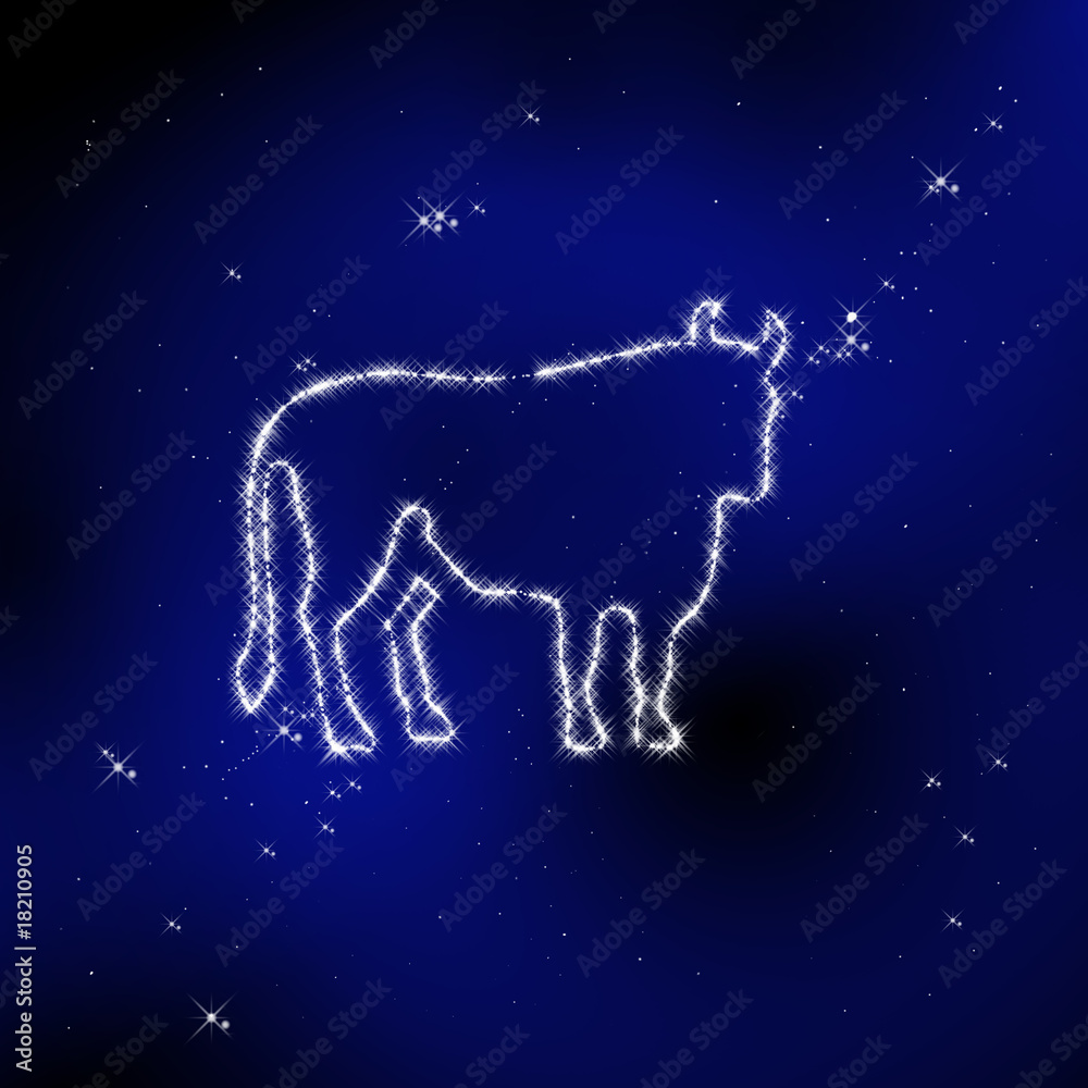 Signes Zodiaques Signes Zodiaques