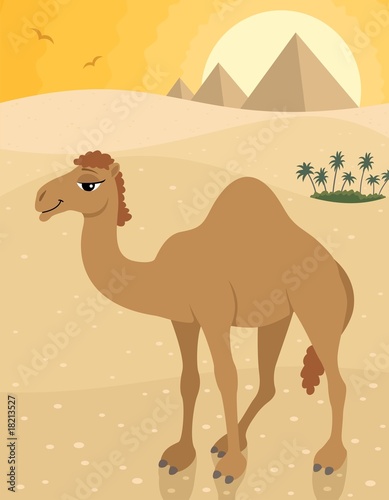 Camel