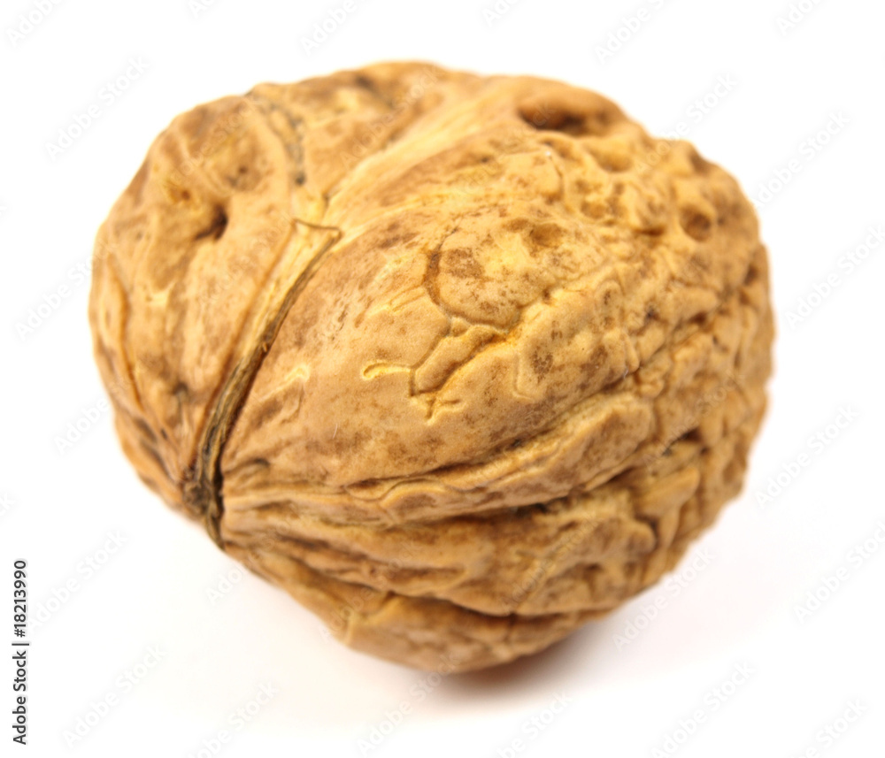 Walnuts close-up Walnuts close-up