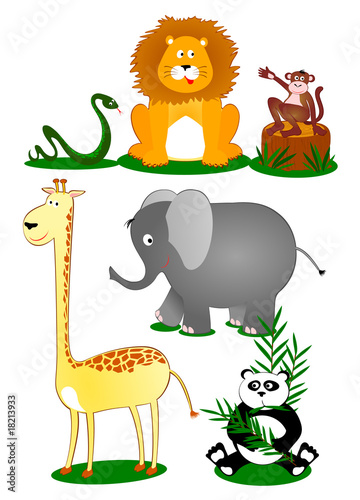 Animali selvaggi