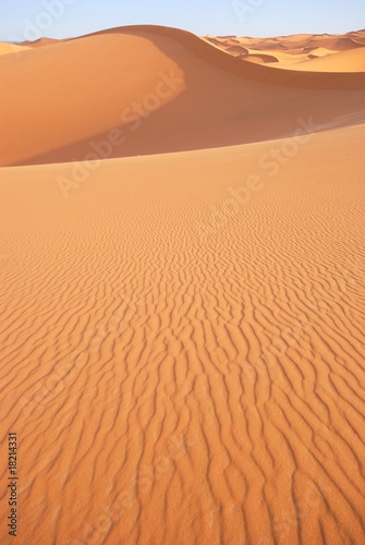 sahara desert