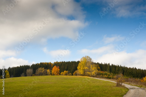 Road and meadows