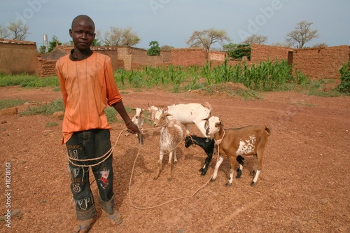 berger et ses chèvres dans le Sahel photo