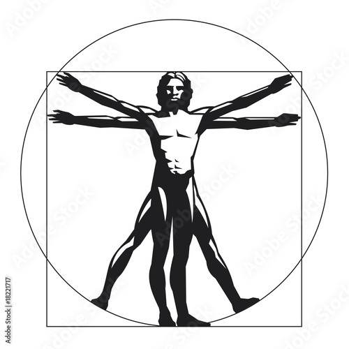 Mensch, Körper und Proportionen