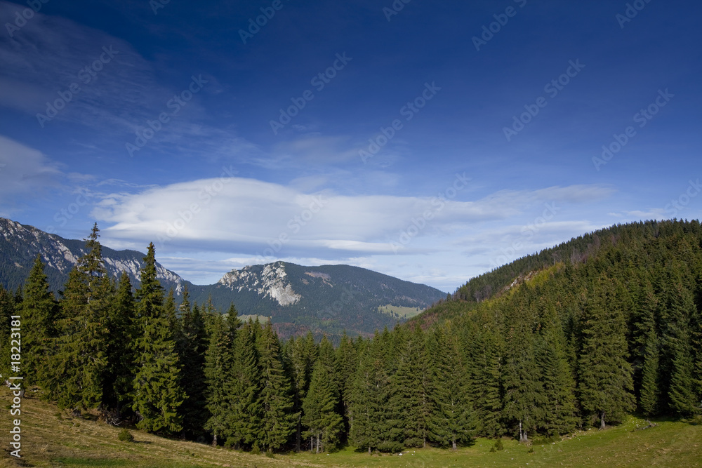 Beautiful autumn scenery in the mountains and pine trees