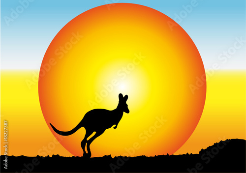 Australia,canguro photo