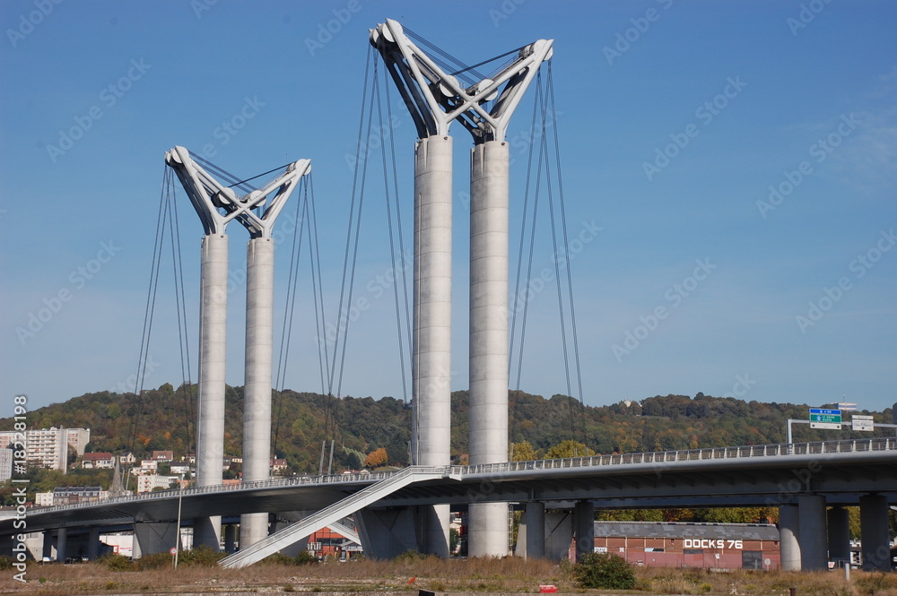 Fototapeta premium pont flaubert