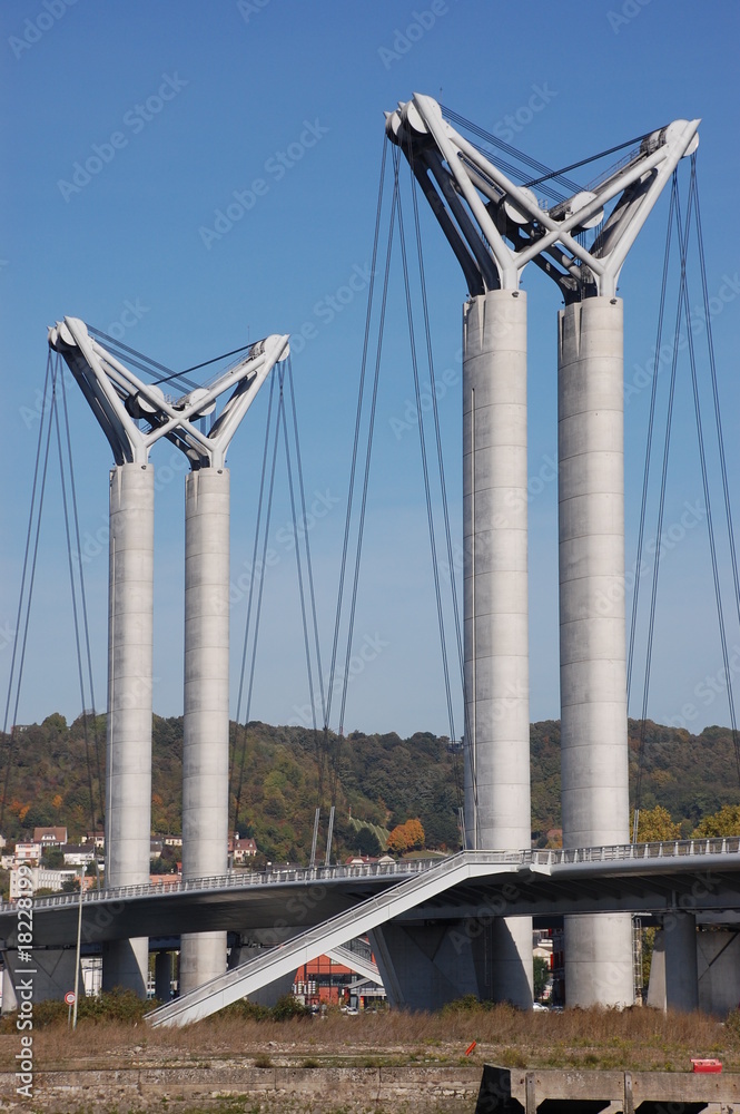 Obraz premium pont flaubert