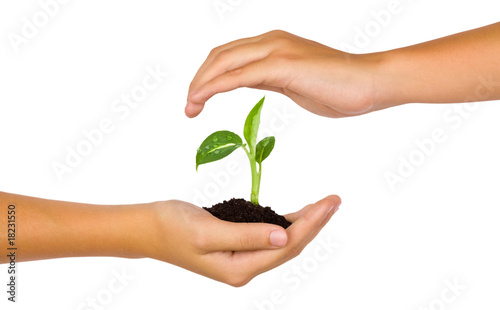 New life in young hands
