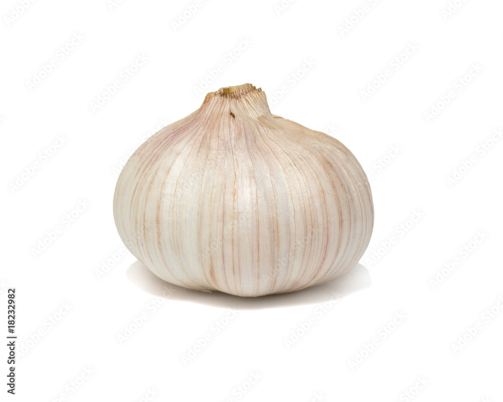 Obraz premium Garlic