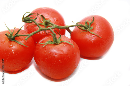 bright tomato
