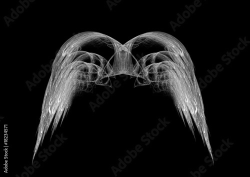 Monochrome Black and White Angel Wings