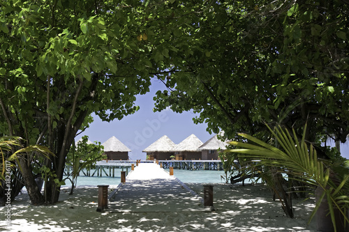 Water bungalows on a tropical island resort, Maldives photo