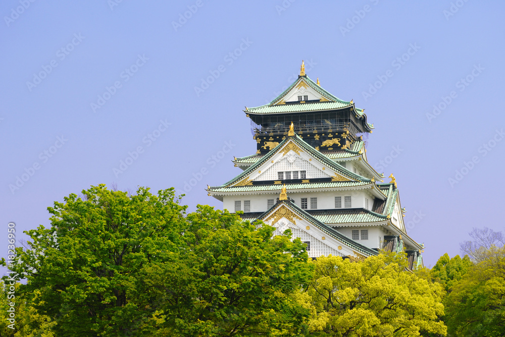 Fototapeta premium Osaka Castle