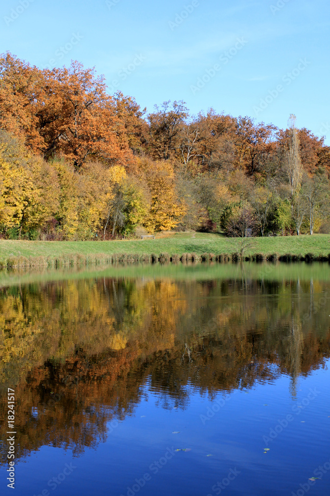 AM SEE