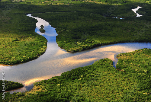Aerial view of Wetlands