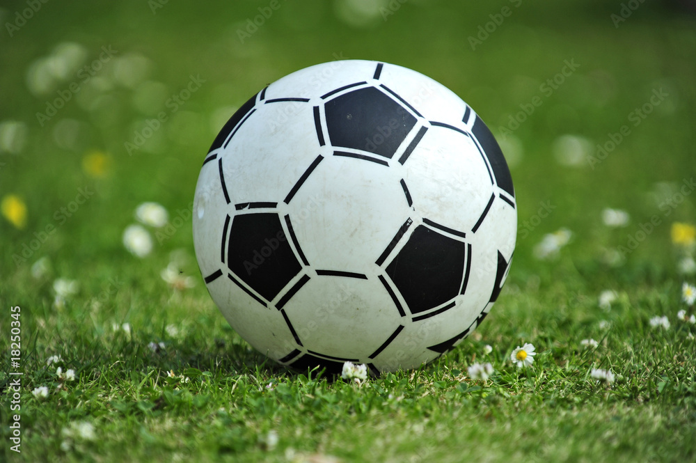 ball ball