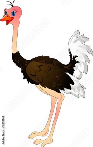 Cartoon ostrich