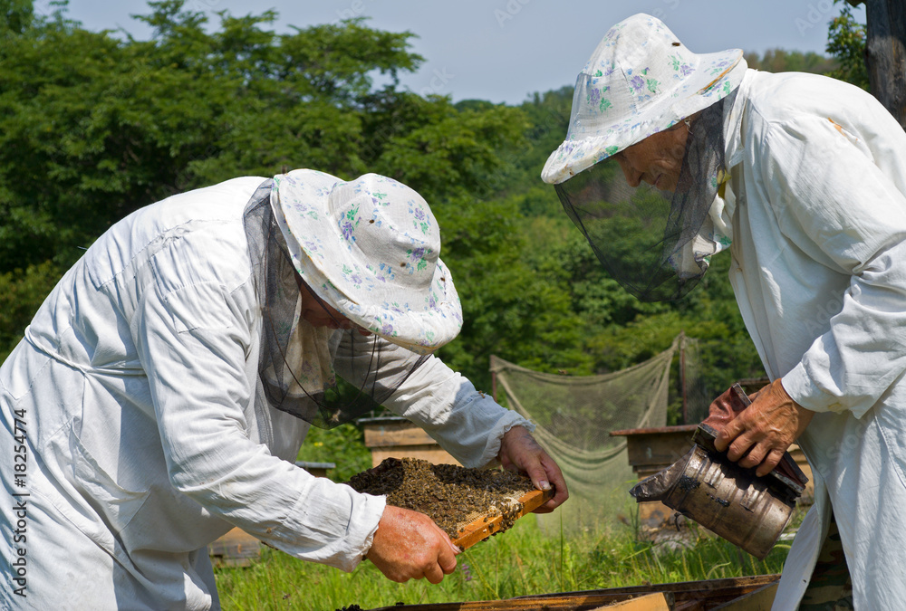Beekeepers 9