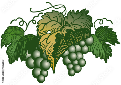 racimo verde