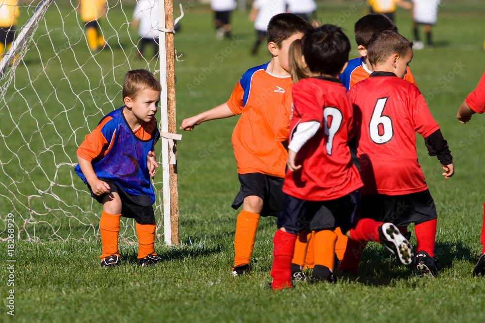 Obraz premium Eyes on the Ball