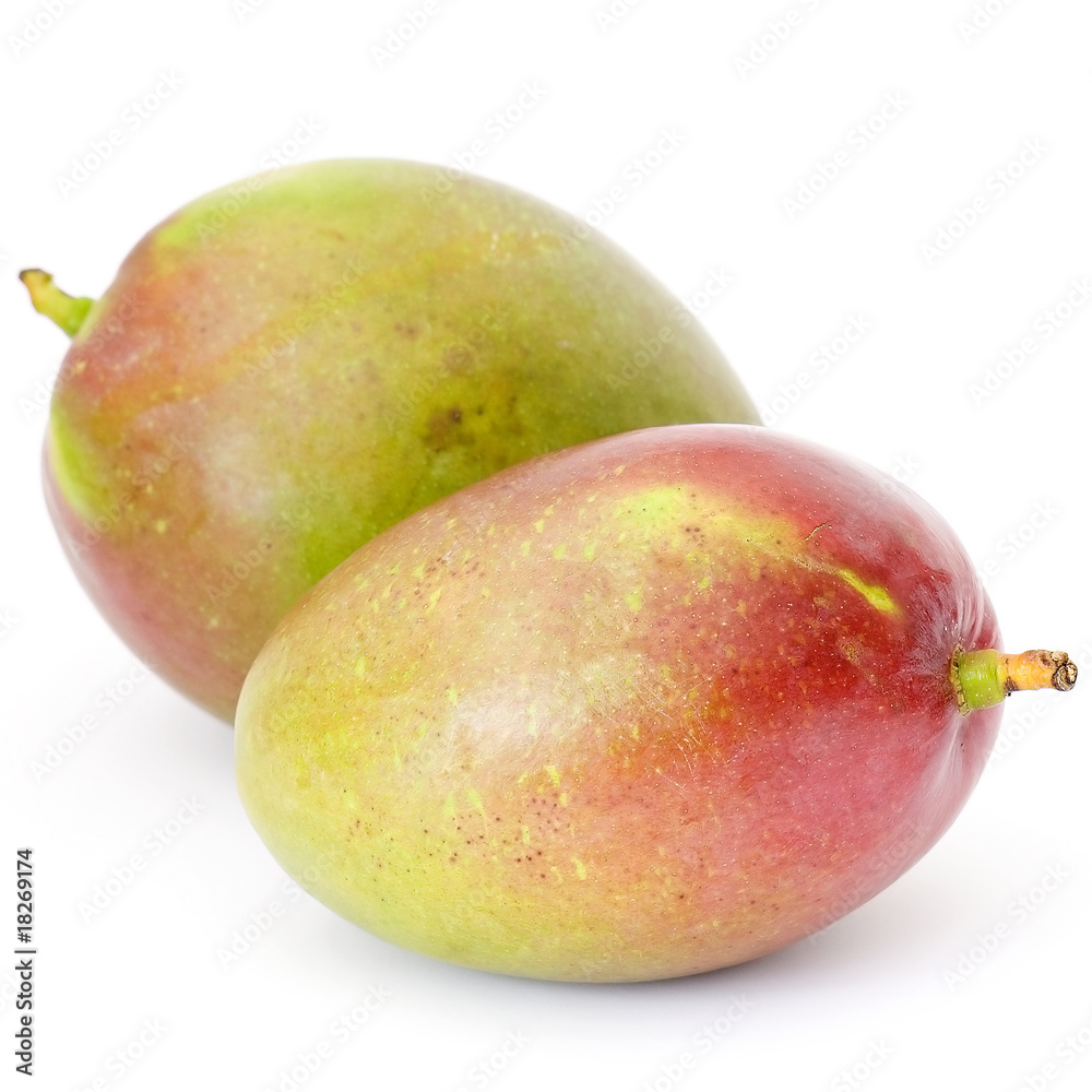 mango fruits mango fruits