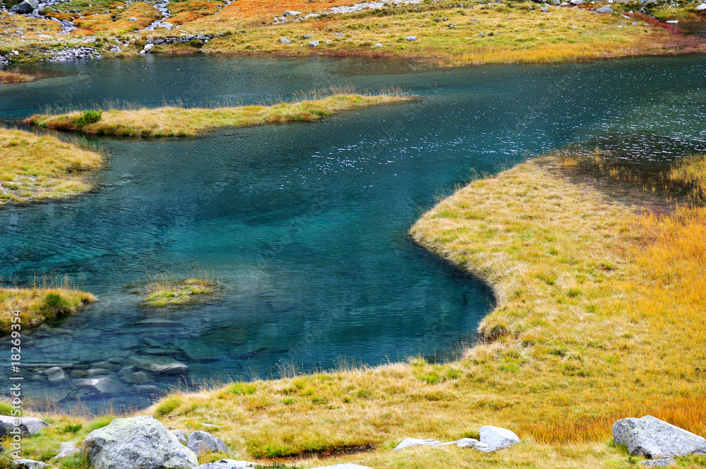 Shapes of water and grass in an alpine lake