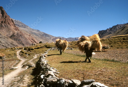 Zanskar