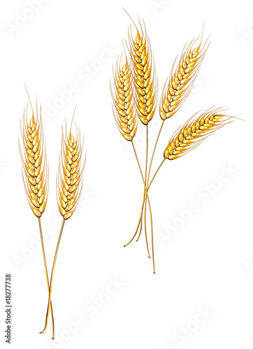 Agriculture symbols