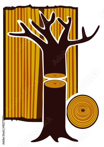 holz