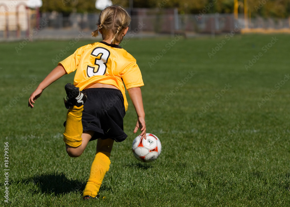 Obraz premium Running to the Ball