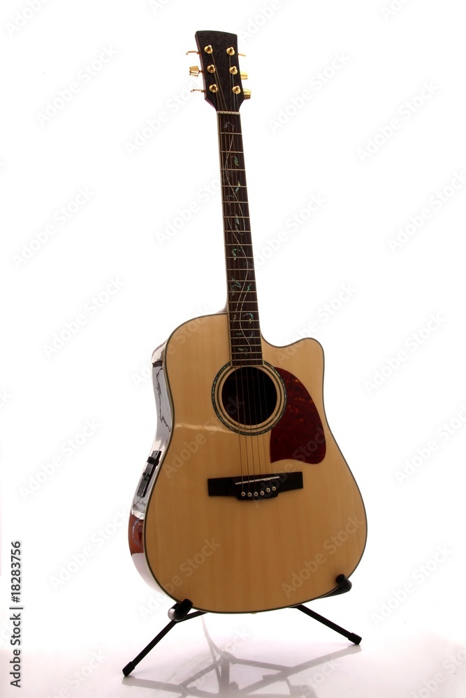 Naklejka premium Accoustic Guitar