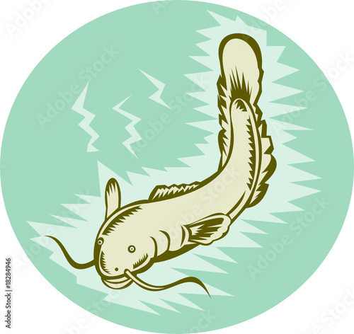 Catfish swimming