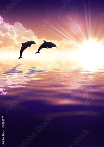 Dolphin and sunset © F-WORK