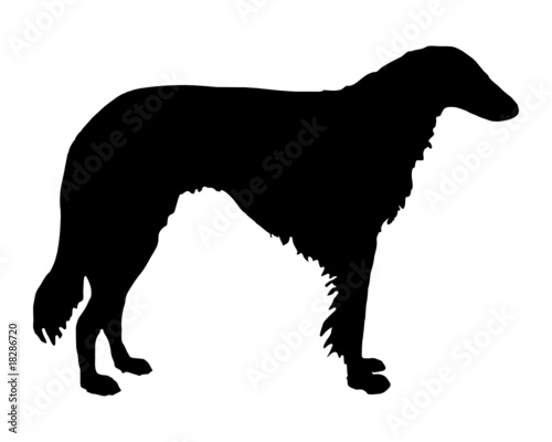 Schwarze Silhouette von einem Windhund