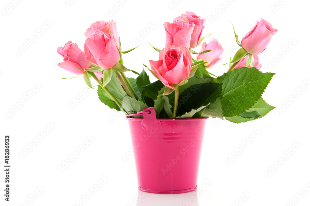 Bouquet roses in pink bucket